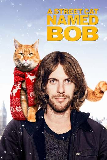 Read more about the article A Street Cat Named Bob (2016) English [Subtitles Added] Bluray Download | 480p [400MB] | 720p [800MB]